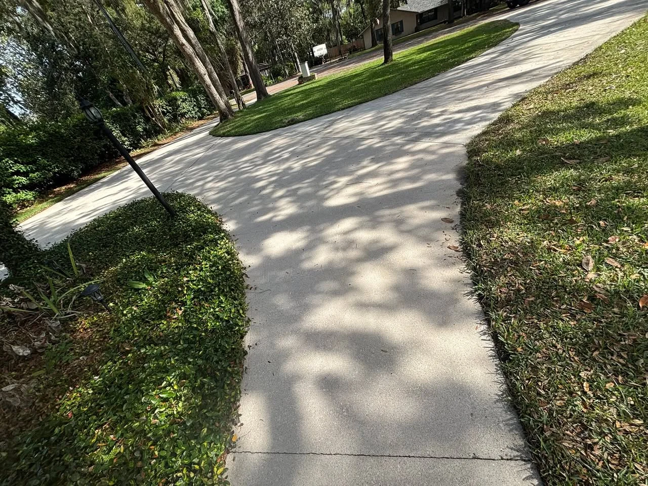 Driveway and walkway after cleaning
